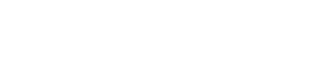 Big Fish Payment logo